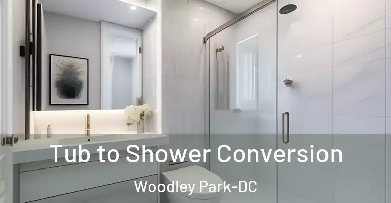 inner Bathroom imggen Tub to Shower Conversion Woodley Park-DC