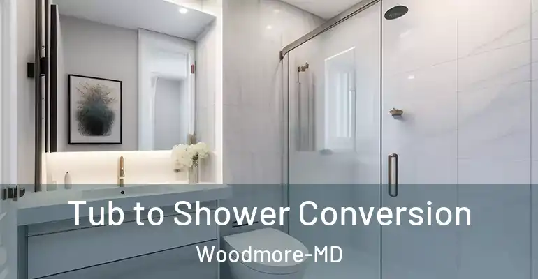 inner Bathroom imggen Tub to Shower Conversion Woodmore-MD