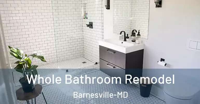 inner Bathroom imggen Whole Bathroom Remodel Barnesville-MD