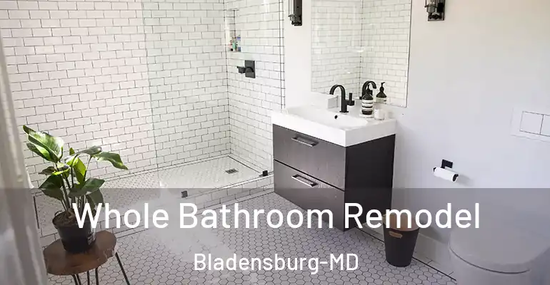 inner Bathroom imggen Whole Bathroom Remodel Bladensburg-MD