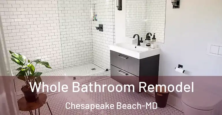 inner Bathroom imggen Whole Bathroom Remodel Chesapeake Beach-MD