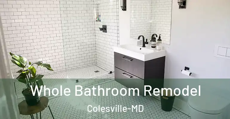 inner Bathroom imggen Whole Bathroom Remodel Colesville-MD