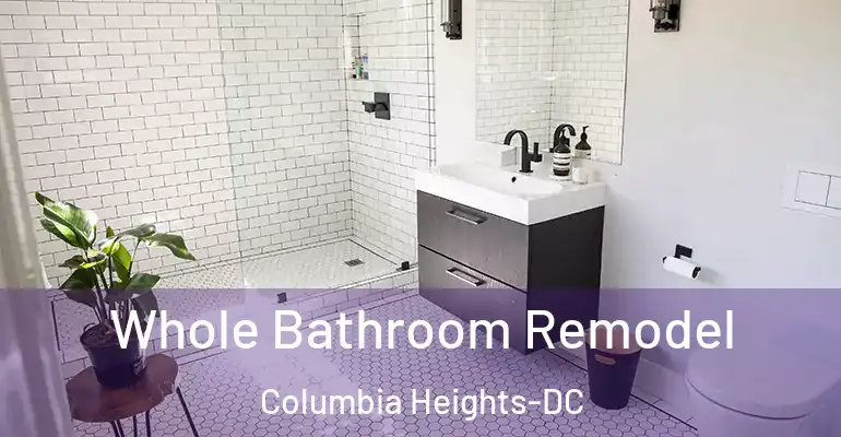 inner Bathroom imggen Whole Bathroom Remodel Columbia Heights-DC