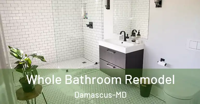 inner Bathroom imggen Whole Bathroom Remodel Damascus-MD