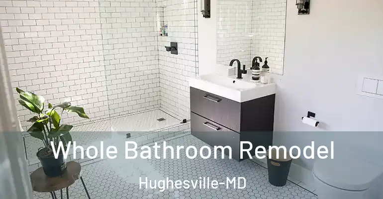 inner Bathroom imggen Whole Bathroom Remodel Hughesville-MD