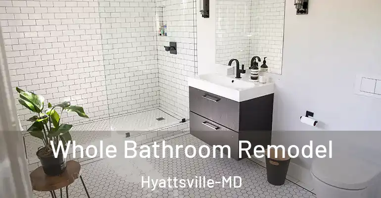 inner Bathroom imggen Whole Bathroom Remodel Hyattsville-MD