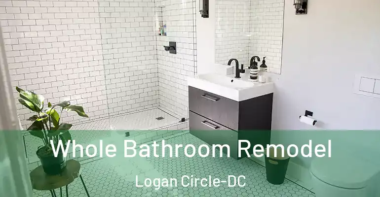 inner Bathroom imggen Whole Bathroom Remodel Logan Circle-DC