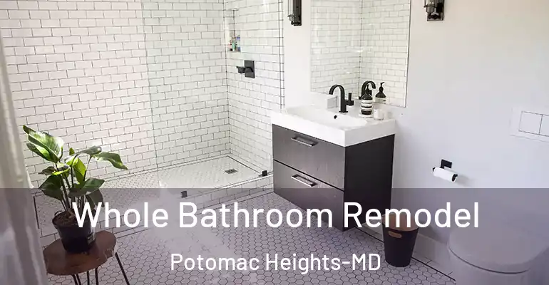 inner Bathroom imggen Whole Bathroom Remodel Potomac Heights-MD