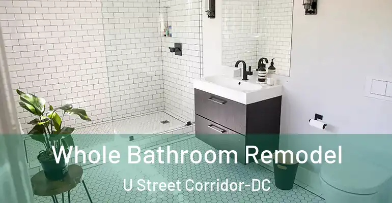 inner Bathroom imggen Whole Bathroom Remodel U Street Corridor-DC